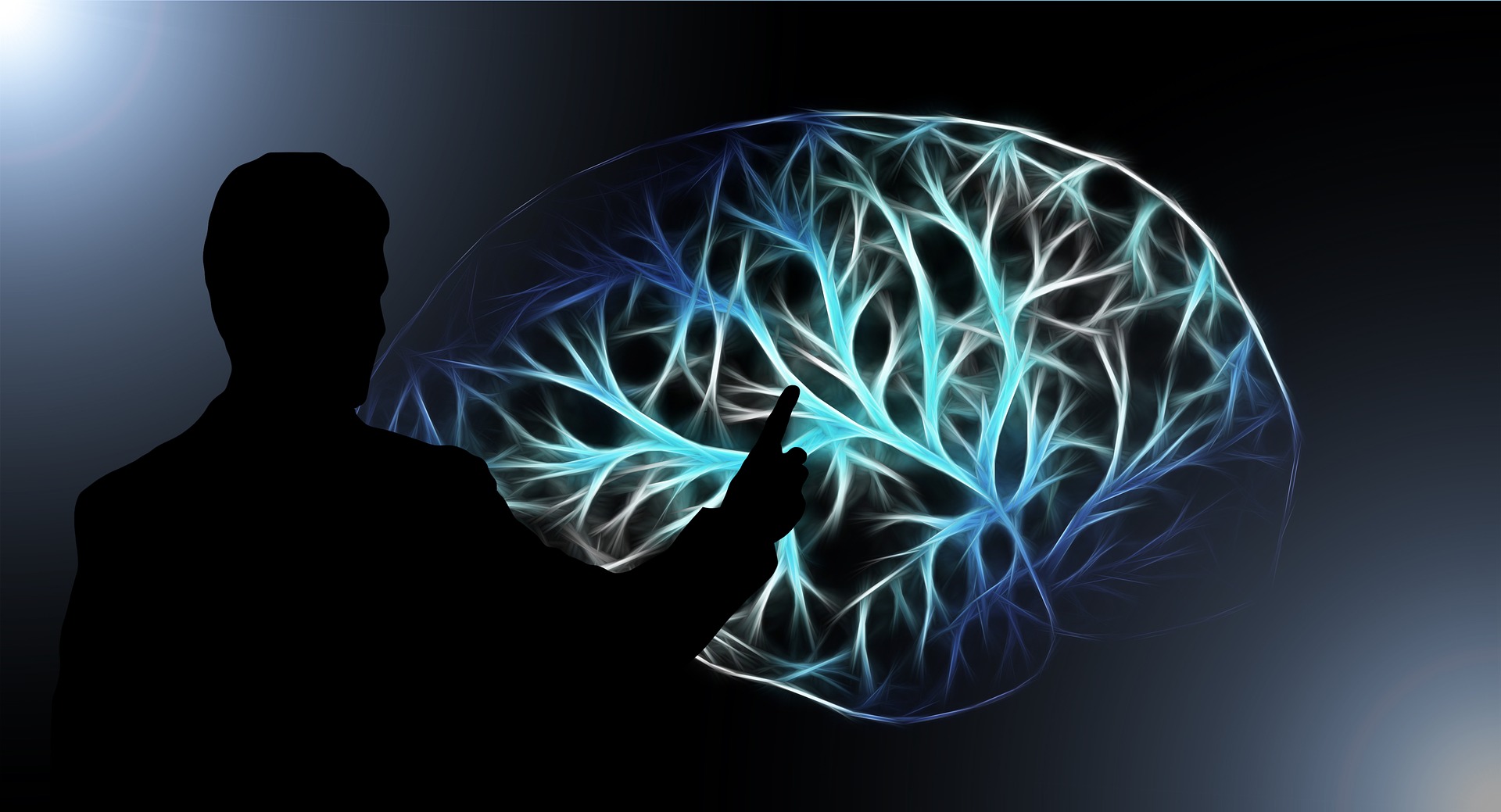 brain-gea7a8752c_1920 brain-gea7a8752c_1920